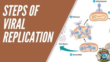 Ignou BBYCT-131/ Virus Replication Part-3