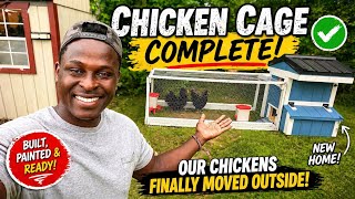 Our Chickens Finally Moved Outside  cage Build Complete  From Coop To Freedom