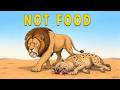 Why Do Predators Rarely Eat Other Predators?