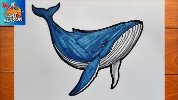 How to Draw a Humpback Whale Step by Step