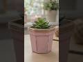 Cardboard 📦 to Flower Pot 🪴 | DIY videos | Recycling | DIY Ideas | #diy #diycrafts #diyprojects