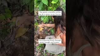 Burying our 11 month old placenta