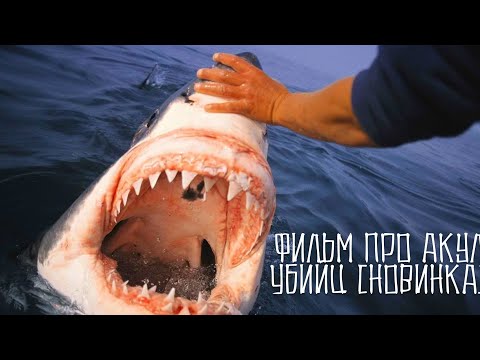 🦈ФИЛЬМ УЖАСОВ ПРО АКУЛ ЛЮДОЕДОВ / НОВИНКА 2021 АКУЛЫ УБИЙЦЫ 😨