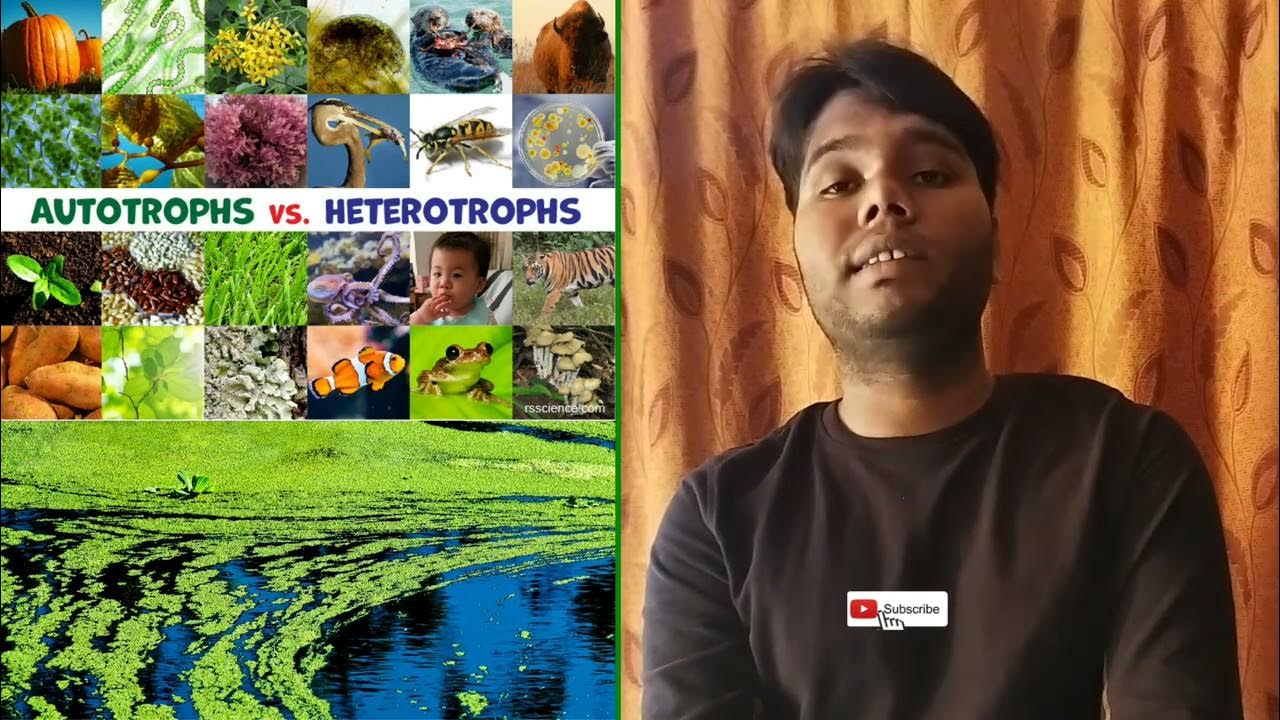what-is-life-process-class-10-youtube