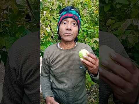 Gegagedigedagedago Funny Video