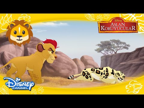 Aslan Koruyucular I Leoparlarla Aslan Koyucuların Kıyasıya Mücadelesi 😯 I Disney Channel Türkiye