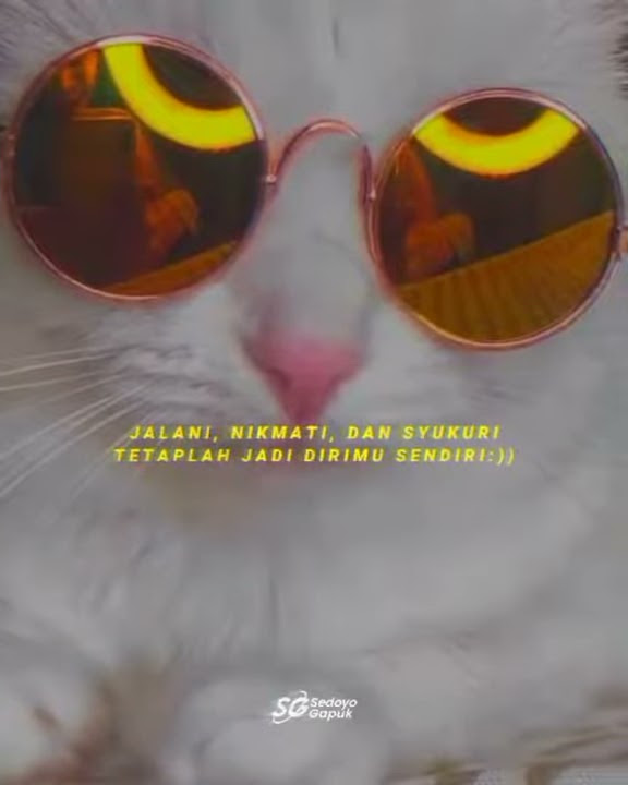 Story WA DJ YALAN x LELA LAYN
