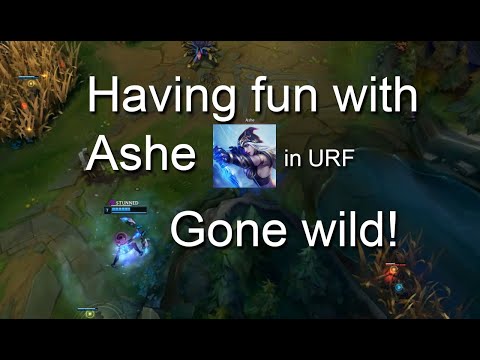 Having Fun in