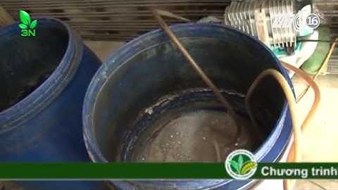 Kinh nghiệm nhân nuôi và tạo Biofloc mồi cho ao cá