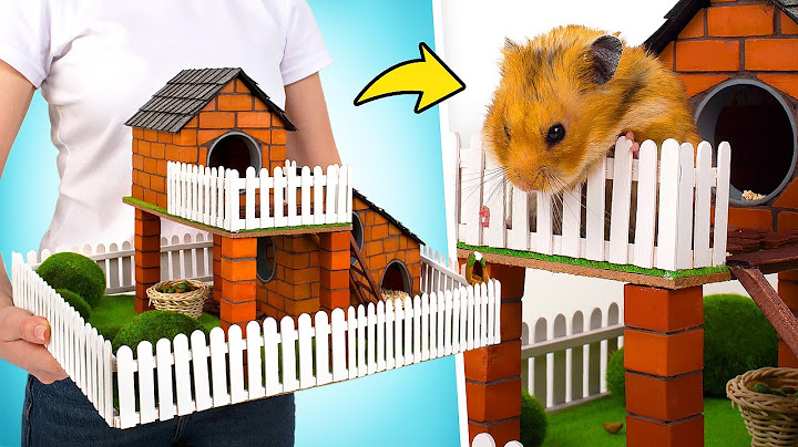Terrain de Jeu Miniature Pour Hamster en Mini Briques DIY 🧱🐹❤️