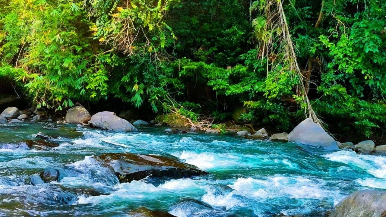 Calm Flowing River Sounds 🌊 Nature White Noise for Deep Sleep