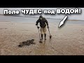 Поле ЧУДЕС под ВОДОЙ! Часть 1.  В поисках сокровищ / In search of treasures