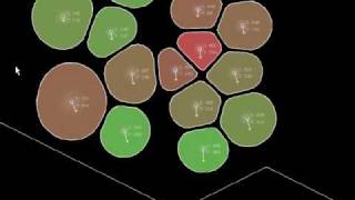 2D cell simulation
