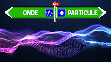Qui a proposé la dualité onde-particule ?