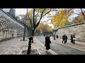4k 秋天的枫叶德寿宫首尔市厅 4k 秋天的枫叶德寿宫首尔市厅