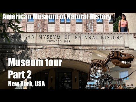 فيديو: دليل زوار المتحف الأمريكي للتاريخ الطبيعي (AMNH)
