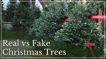 Benefits of Real Christmas Trees  | Pros & Cons of Real & Artificial Trees | Fresh Cut Xmas Trees