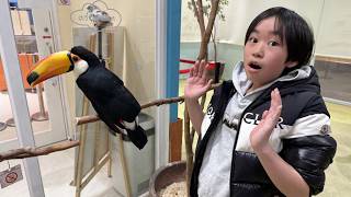 レオくんがおでかけ!ラブリー・アニモア! Part173 トイキッズ