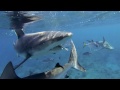 Middle of video