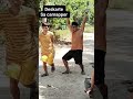 short funny videos 😂😂 #funnyvideo #compilation #funny #comedyshorts #comedy