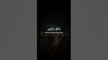 #القارئ #یاسر_الدوسری #quran #قرآن #تلاوة_خاشعة #قران_كريم #تلاوات #قراءة