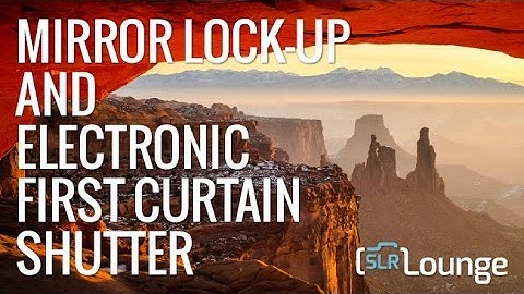 What Is Mirror Lockup and Electronic First Curtain Shutter?