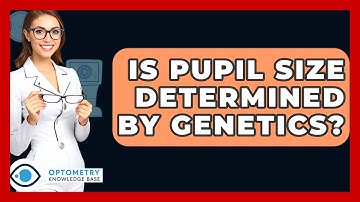 Is Pupil Size Determined By Genetics? - Optometry Knowledge Base