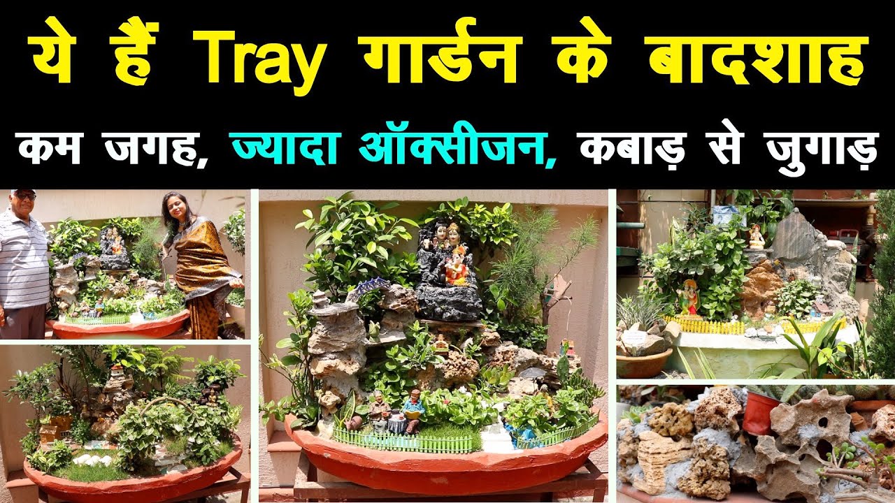 Tray Garden से कम स्पेस में करें बागवानी, भरपूर ऑक्सीजन, DIY Using Waste । Unique Farming