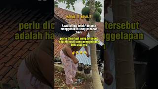parah nih 🤣🤣 #reels #lucu #fyp #ytshorts #parah