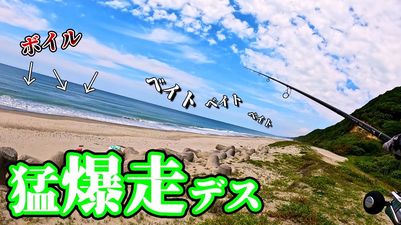 台風後ど日中の遠州灘サーフではベイトが追われ狂っていました🐟in田原 台風後ど日中の遠州灘サーフではベイトが追われ狂っていました🐟in田原