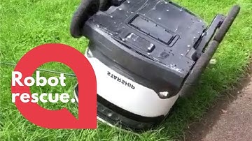 Popular delivery robot had to be rescued after getting stuck | SWNS