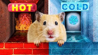 Hot vs Cold! 🔥❄️DIY Maze Challenge || Minecraft VS Super Mario|| Trickiest Hamster Maze