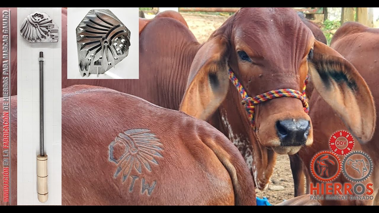 Fierro para Herrar Figura Indio - YouTube, image size:1280x720