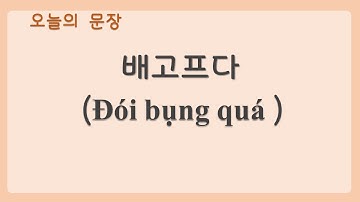 배고프다/ 배부르다 Đói bụng quá/no bụng quá