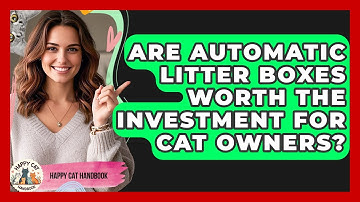 Are Automatic Litter Boxes Worth the Investment for Cat Owners? | Happy Cat Handbook