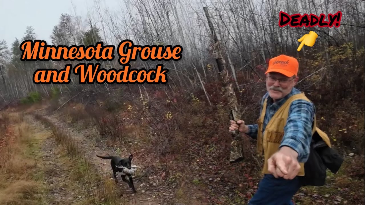 Grouse hunting with a Labrador - Great Wingshooting!