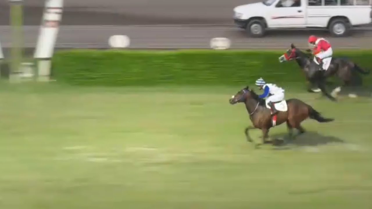 Победитель 3-го забега на 1200 метров, человек-оркестр | Под управлением жокея Шахбаза, тренер Ша...