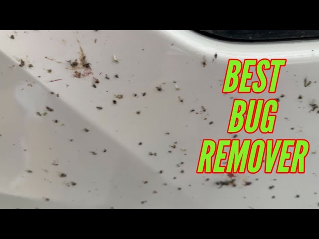Product Review: Gtechniq W8 Bug Remover – Ask a Pro Blog