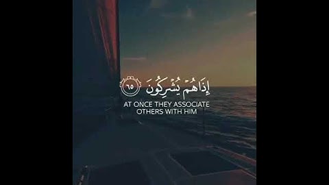 ما تيسر من سورة العنكبوت الآية 66 من القارئ عبدالرحمان مسعد #القرآن_الكريم #سورة_العنكبوت