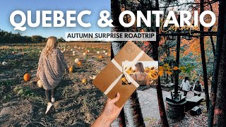 Surprise FALL ROAD TRIP Through Quebec & Ontario 🍁 Autumn Adventure with Guess Where Trips - Canada