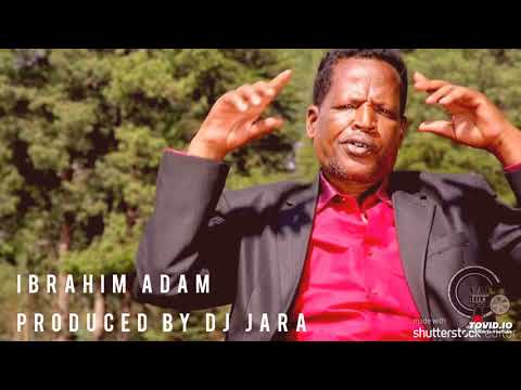 Oromo Music Ibrahim Adam Haaya Nagayatti Official Audio 2020