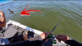 Fish Steals Fishing Rod.