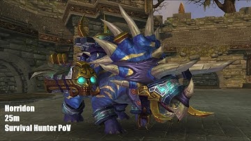 Horridon Heroic 25m | Throne of Thunder | Survival Hunter PoV | Mist of Pandaria Classic
