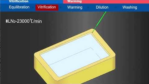 Vitrification Protocols - Vitrifying and Warming of Human Oocytes, Embryos, and Blastocysts