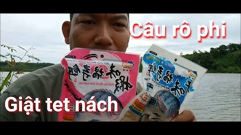 Bài mồi câu cá rô phi hiệu quả nhất ( đập 109, cầu thác)