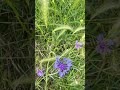 Bellezas Naturales