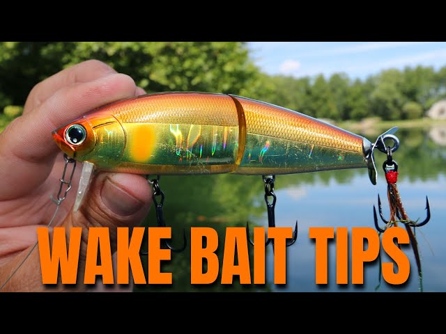 Summertime WAKE BAITS In Shade Lines 