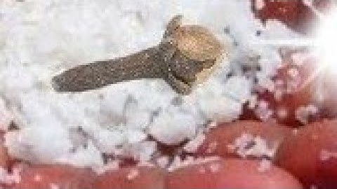 10 मई शनिवार के दिन इस जगह फेंक देना 1 मुट्ठी नमक बनोगे || Pradeep Ji Mishra