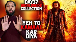 Dhurandhar 2 Day 37 Total Worldwide Box Office Collection | Dhurandhar 2 Box Office Collection India