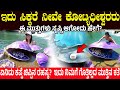 ಇದು ಸಿಕ್ಕರೆ ನೀವೇ ಕೋಟ್ಯಧೀಶ್ವರರು.! ಈ ಮುತ್ತುಗಳು ಸೃಷ್ಟಿ ಆಗೋದು ಹೇಗೆ? Strange facts Oysters & their pearls